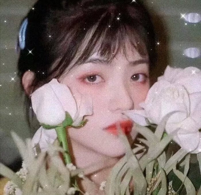法老